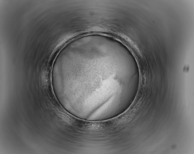 X0000100931266200807011213