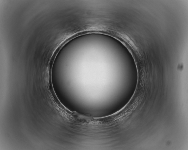 X0000100931268200807011213