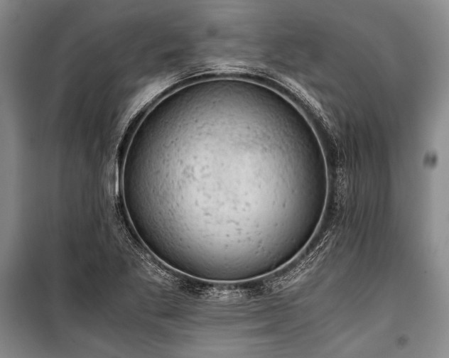 X0000100931269200807011213