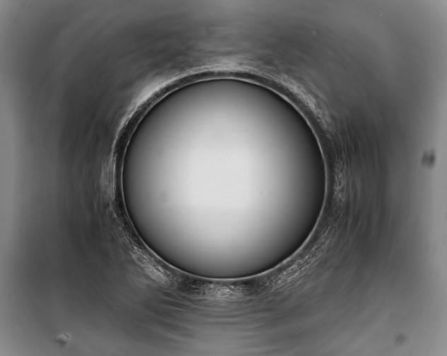 X0000100931270200807011213