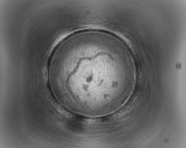 X0000100931271200807011213