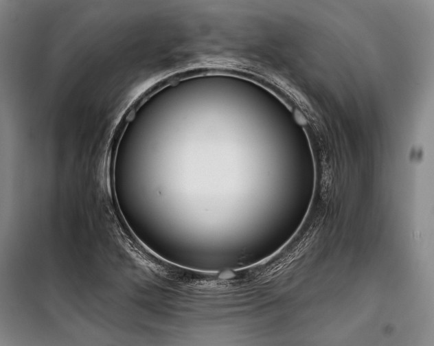 X0000100931272200807011213