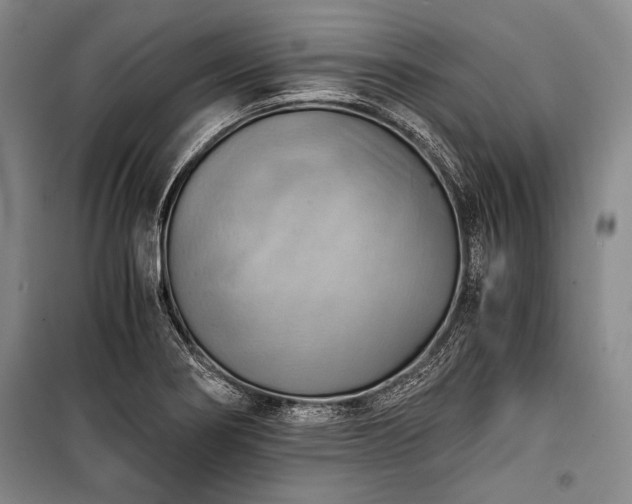 X0000100931274200807011213