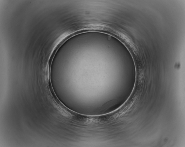 X0000100931275200807011213