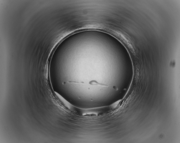 X0000100931276200807011213