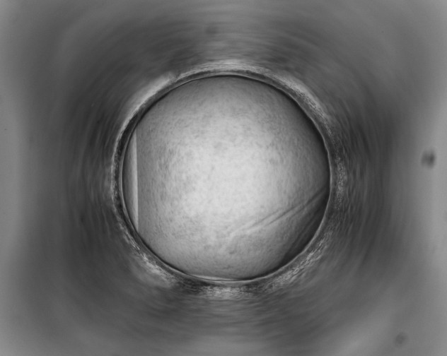 X0000100931278200807011213