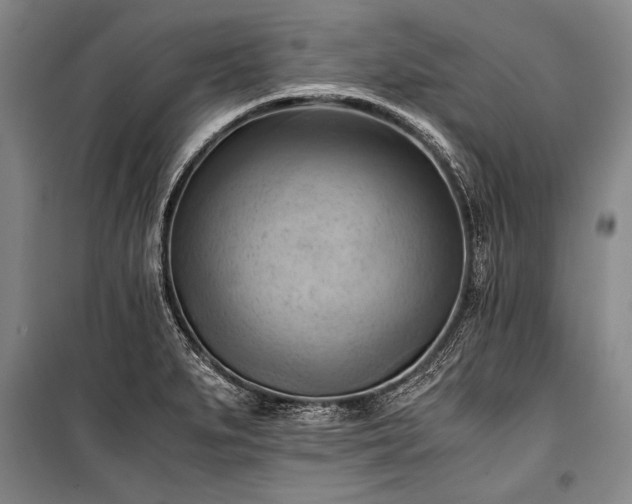 X0000100931279200807011213