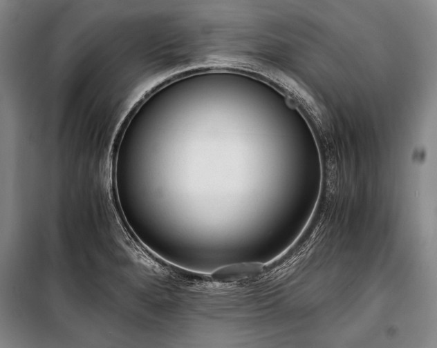 X0000100931280200807011213