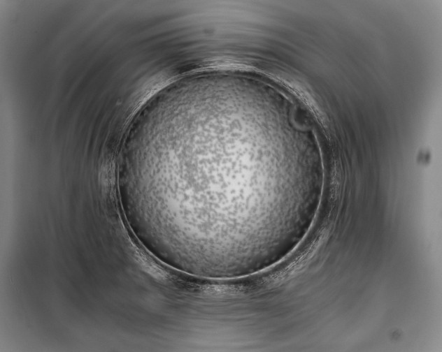 X0000100931281200807011213