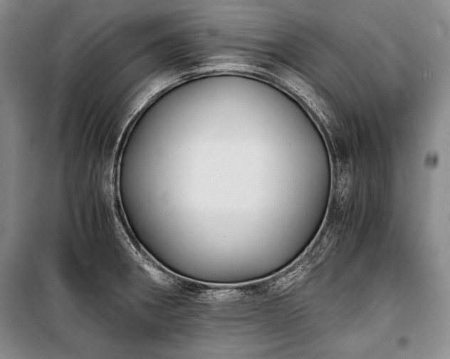 X0000100931282200807011213