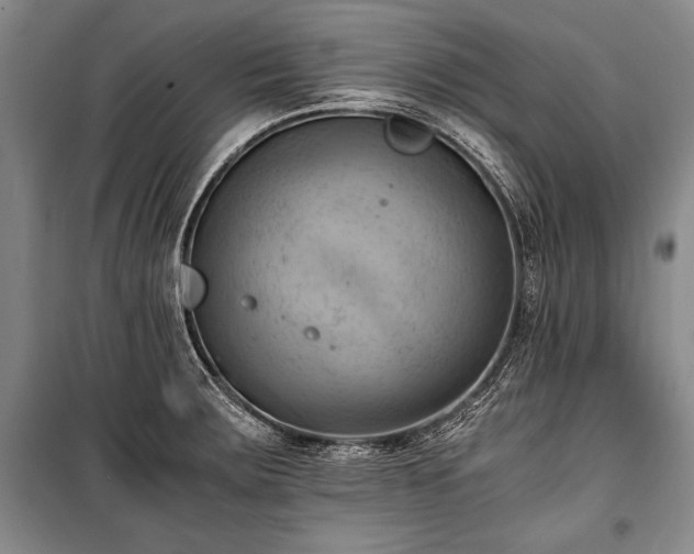 X0000100931283200807011213