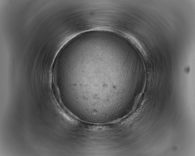 X0000100931284200807011213