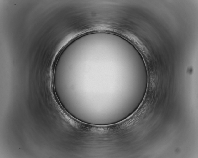 X0000100931286200807011213