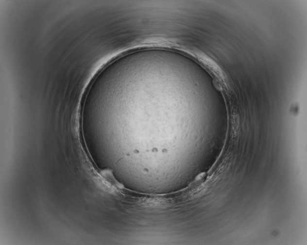 X0000100931288200807011213