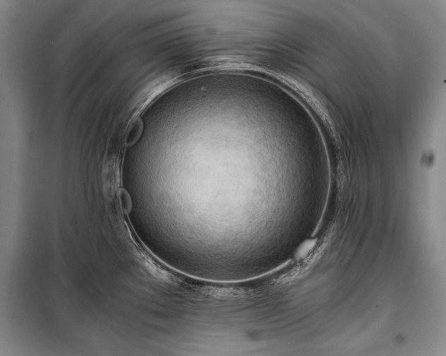 X0000100931289200807011213