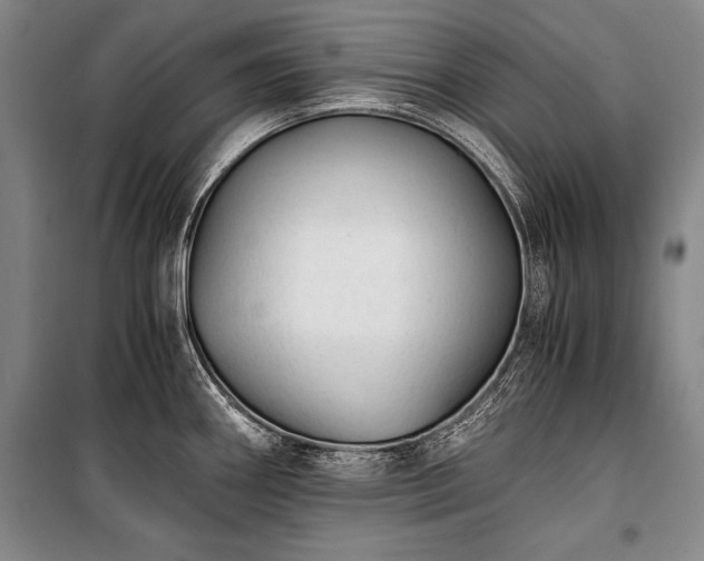 X0000100931290200807011213