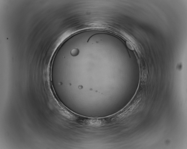 X0000100931291200807011213