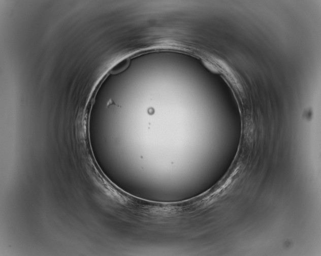 X0000100931292200807011213