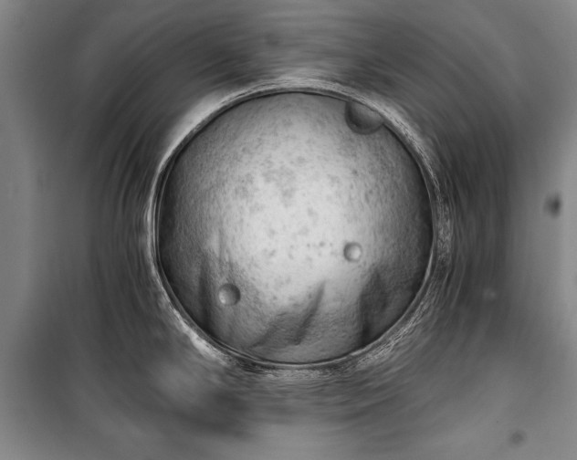 X0000100931294200807011212