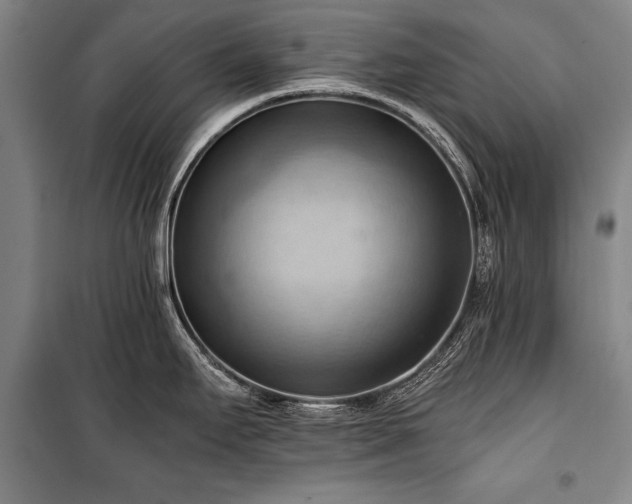 X0000100931295200807011212