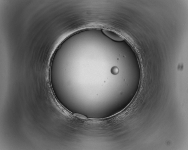 X0000100931296200807011212