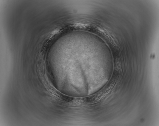 X0000100931297200807011212