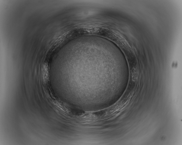 X0000100931298200807011212