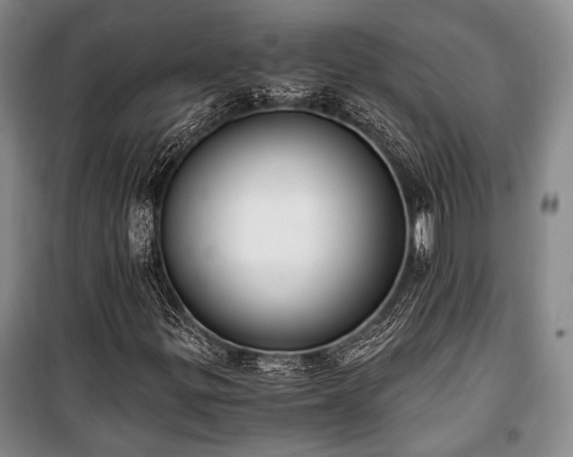 X0000100931299200807011212