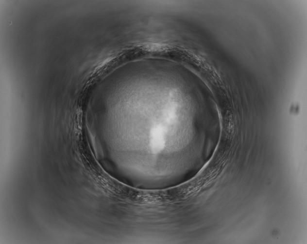 X0000100931301200807011212