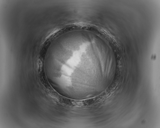 X0000100931302200807011212