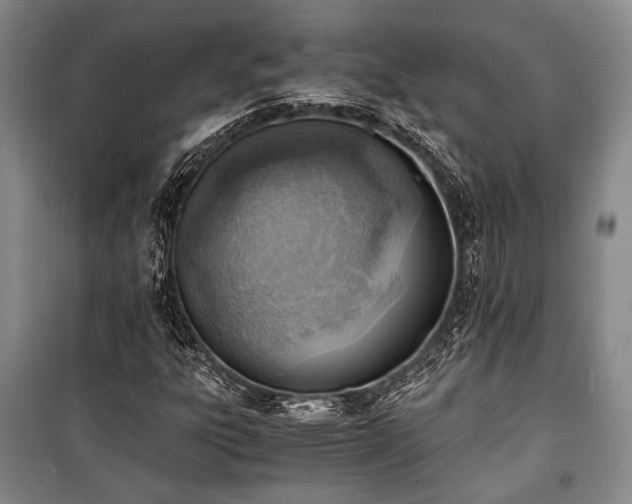 X0000100931303200807011212