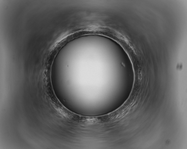 X0000100931304200807011212