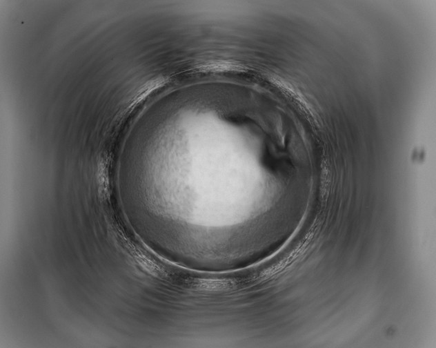 X0000100931305200807011212