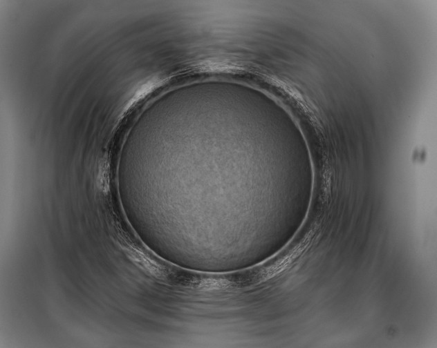 X0000100931306200807011212