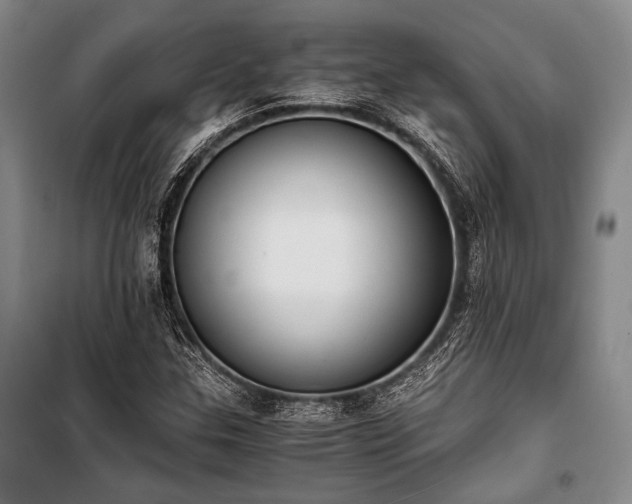 X0000100931307200807011212