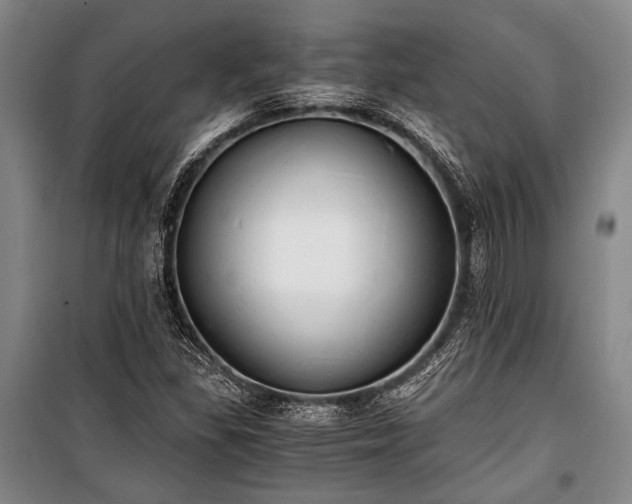 X0000100931309200807011212