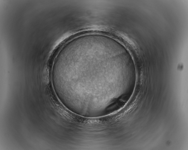 X0000100931310200807011212