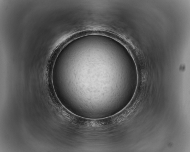 X0000100931311200807011212