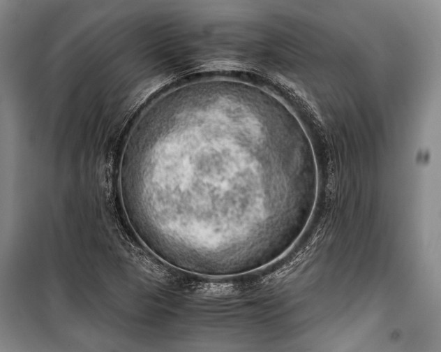 X0000100931313200807011212