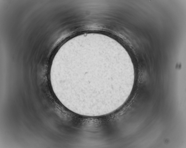 X0000100931314200807011212