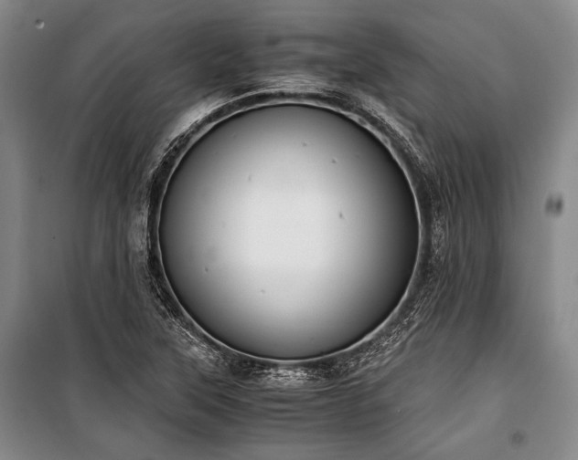 X0000100931315200807011212