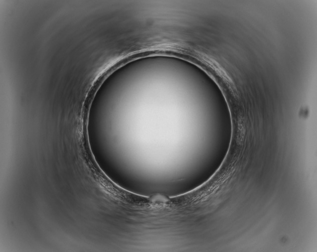 X0000100931316200807011212