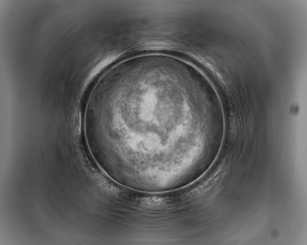 X0000100931317200807011212