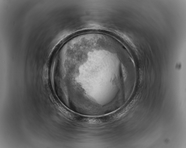 X0000100931318200807011212