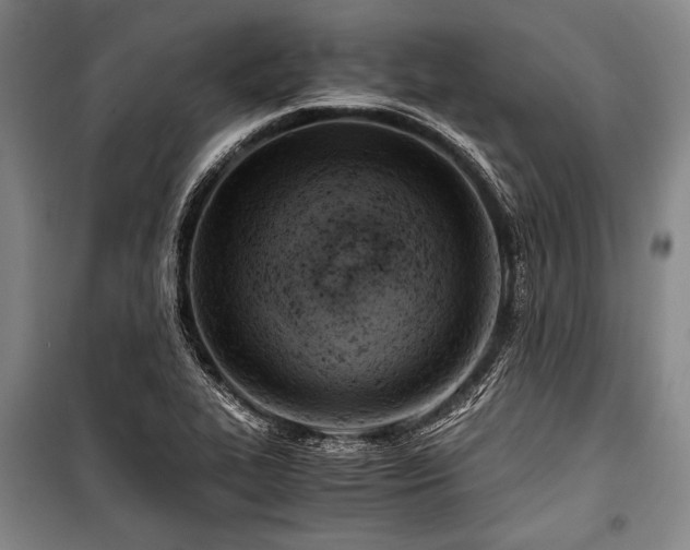 X0000100931319200807011212