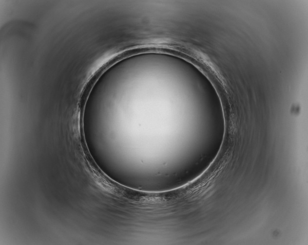 X0000100931320200807011212