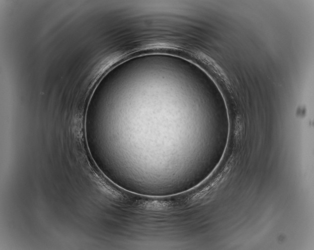 X0000100931321200807011212