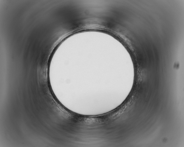 X0000100931322200807011212