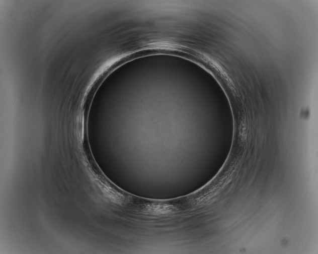 X0000100931323200807011212