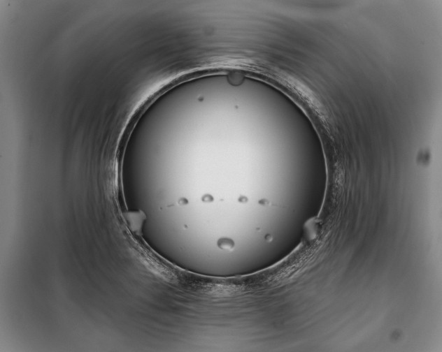 X0000100931324200807011212